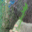 #u470e0d080as#
