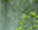 #u495bc7d029s#