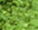 #u495bf01e29s#