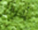 #u495bf6d029s#