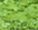 #u495c002829s#