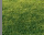 #u4d644e84c4s#