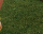 #u4d645070c4s#