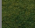 #u4d6450d2c4s#