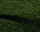#u4d645109c4s#