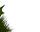 #u5bf50df0efs#