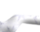 #u5c7546c8eas#