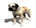 #u5c88a2339bs#