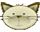 #u5e9f2c7aa8s#