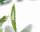 #u5f0bec418bs#