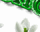#u5f0bec8b8bs#