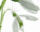 #u5f0becf38bs#