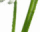 #u5f0bef088bs#