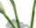 #u5f0bef218bs#