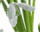 #u5f0bef298bs#