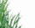 #u5f0bf04d8bs#