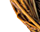 #u5fe0c02147s#