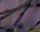 #u61147f23b6s#
