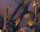 #u611483d9b6s#