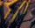 #u6114919fb6s#