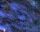 #u6114a1c3b6s#