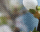 #u628eb628c4s#