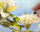 #u628ec2e0c4s#