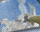 #u628ed339c4s#
