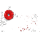 #u629051722es#