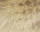 #u75f08d4c8bs#