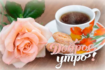 Тарталетки & Ко