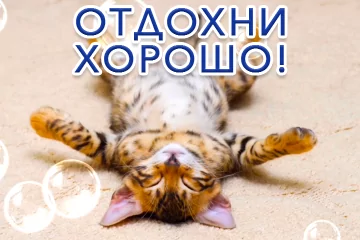 Тарталетки & Ко