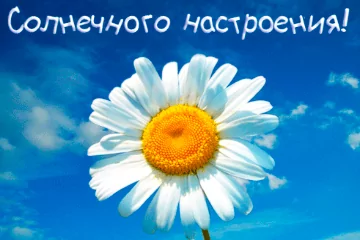 Тарталетки & Ко