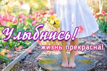 Тарталетки & Ко